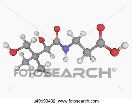 Vitamin B5 pantothenic acid molecule View Large Illustration Drawing - Vitamin B5 pantothenic acid molecule. Fotosearch
