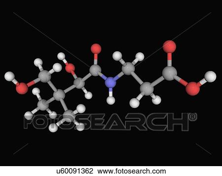 Vitamin B5 pantothenic acid molecule View Large Illustration Drawing - Vitamin B5 pantothenic acid molecule. Fotosearch