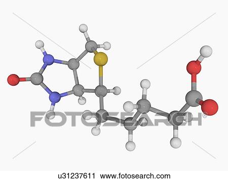 Clip Art - Vitamin B7 biotin molecule. Fotosearch
