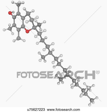 Vitamin E molecule View Large Illustration Drawing - Vitamin E molecule. Fotosearch