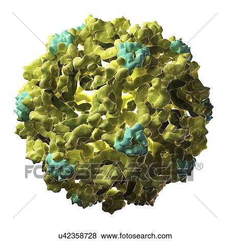 West Nile virus particle View Large Illustration Stock Illustration - West Nile virus particle. Fotosearch