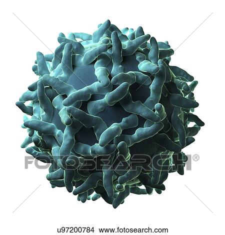 Stock Illustration - Yellow fever virus particle. Fotosearch