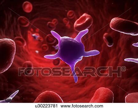 Clip Art - Activated platelets, artwork. Fotosearch