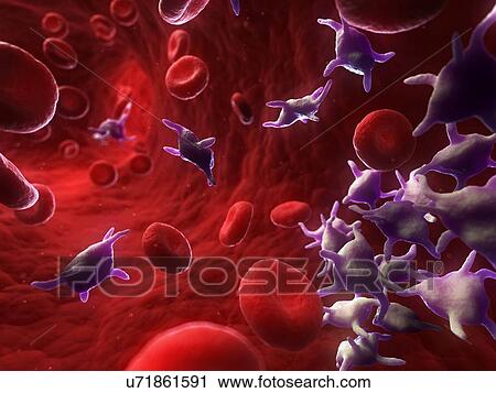 Clip Art - Activated platelets, artwork. Fotosearch