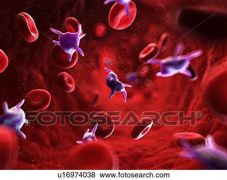 Stock Illustration - Activated platelets, artwork. Fotosearch