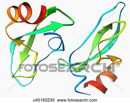 Stock Illustration - Amyloid precursor protein molecule. Fotosearch