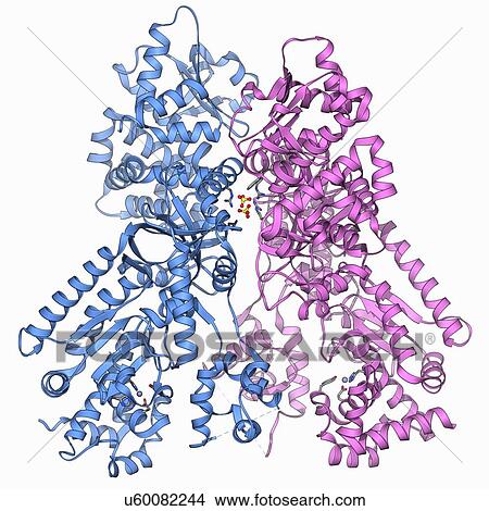 Anthrax lethal factor molecule View Large Illustration Stock Illustration - Anthrax lethal factor molecule. Fotosearch