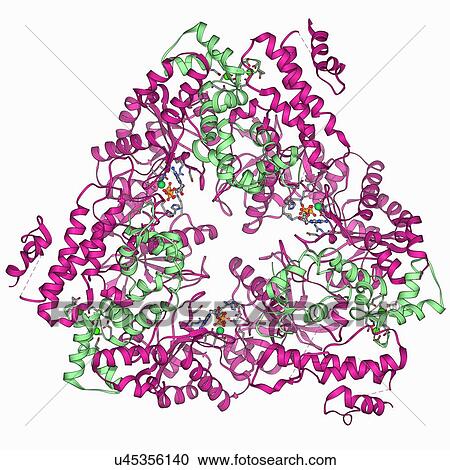 Anthrax oedema factor molecule View Large Illustration Clipart - Anthrax oedema factor molecule. Fotosearch