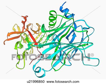 Clipart - Anthrax protective antigen molecule. Fotosearch
