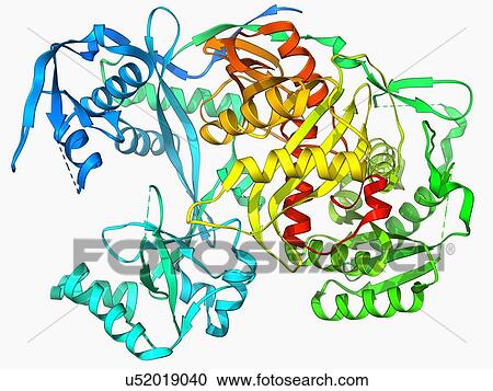 Argonaute Protein Molecule Clipart U Fotosearch