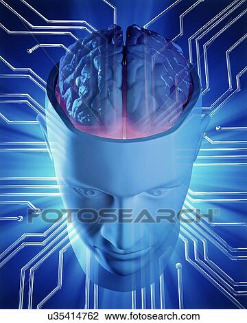 Artificial intelligence, conceptual image View Large Illustration Drawing - Artificial intelligence, conceptual image. Fotosearch