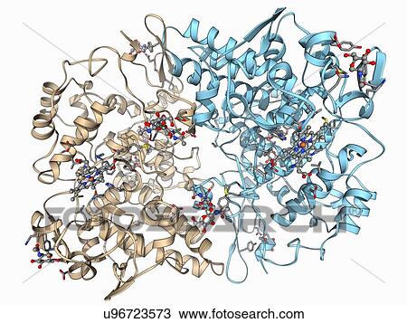 Aspirin drug target molecule View Large Illustration Drawing - Aspirin drug target molecule. Fotosearch