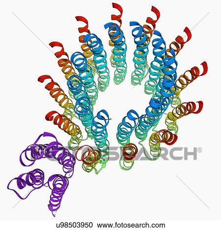Clipart - ATP synthase molecule. Fotosearch