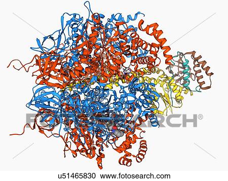 Clipart - ATPase molecule. Fotosearch