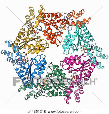Stock Illustration - ATPase molecule. Fotosearch