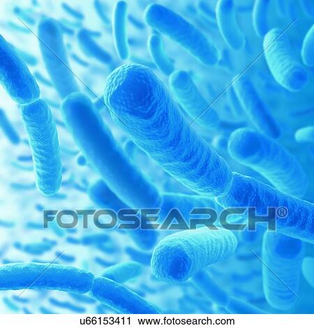 Clip Art - Bacteria, artwork. Fotosearch