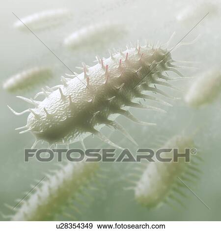 Stock Illustration - Bacteria, artwork. Fotosearch