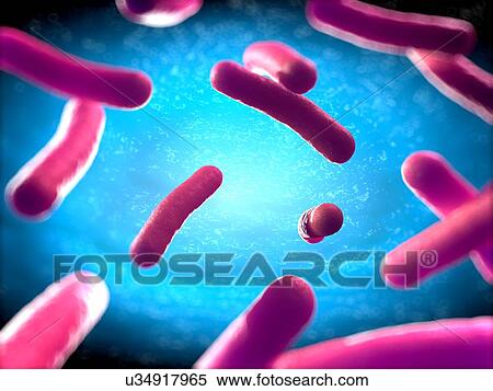 Bacteria, artwork View Large Illustration Stock Illustration - Bacteria, artwork. Fotosearch