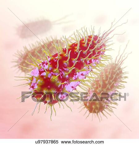 Stock Illustration - Bacteria, artwork. Fotosearch