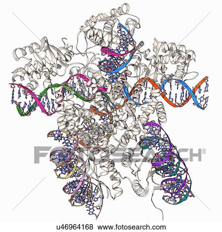 Bacteriophage DNA recombination View Large Illustration Stock Illustration - Bacteriophage DNA recombination. Fotosearch