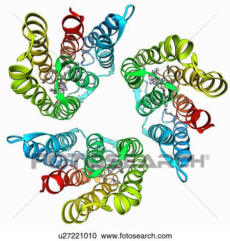 Bacteriorhodopsin protein View Large Illustration Clipart - Bacteriorhodopsin protein. Fotosearch