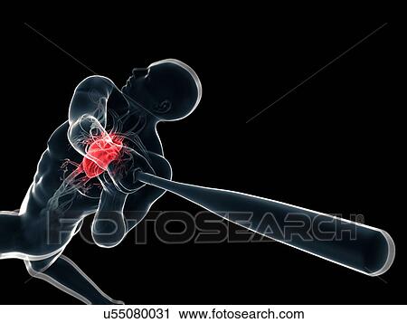 Baseball player, artwork View Large Illustration Clip Art - Baseball player, artwork. Fotosearch