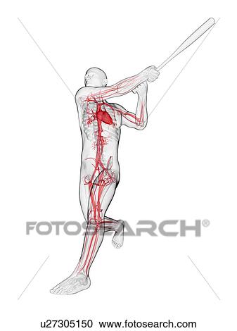 Baseball player, artwork View Large Illustration Clipart - Baseball player, artwork. Fotosearch