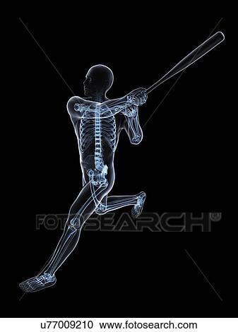 Clipart - Baseball player, artwork. Fotosearch