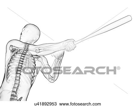Drawing - Baseball player, artwork. Fotosearch