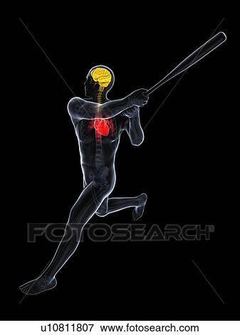 Stock Illustration - Baseball player, artwork. Fotosearch