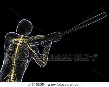 Baseball player, artwork View Large Illustration Stock Illustration - Baseball player, artwork. Fotosearch