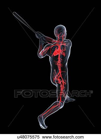 Baseball player, artwork View Large Illustration Stock Illustration - Baseball player, artwork. Fotosearch