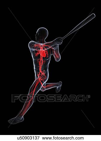 Stock Illustration - Baseball player, artwork. Fotosearch