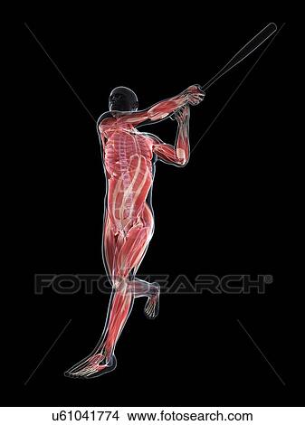 Baseball player, artwork View Large Illustration Stock Illustration - Baseball player, artwork. Fotosearch