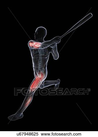Baseball player, artwork View Large Illustration Stock Illustration - Baseball player, artwork. Fotosearch