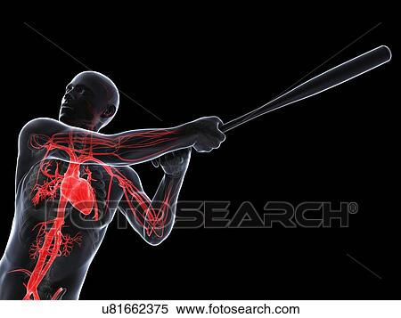 Baseball player, artwork View Large Illustration Stock Illustration - Baseball player, artwork. Fotosearch