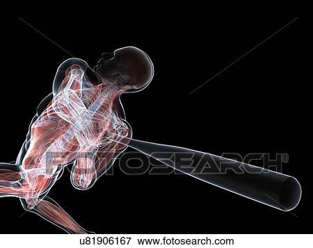Baseball player, artwork View Large Illustration Stock Illustration - Baseball player, artwork. Fotosearch