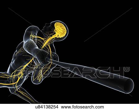 Baseball player, artwork View Large Illustration Stock Illustration - Baseball player, artwork. Fotosearch