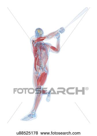 Baseball player, artwork View Large Illustration Stock Illustration - Baseball player, artwork. Fotosearch