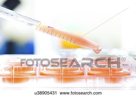 Biological research View Large Illustration Clip Art - Biological research. Fotosearch