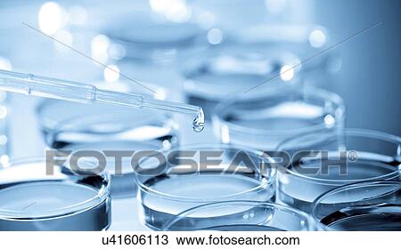 Drawing - Biological research. Fotosearch