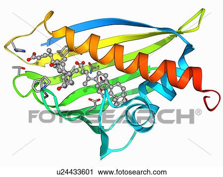 Birch pollen allergen View Large Illustration Clip Art - Birch pollen allergen. Fotosearch