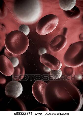 Clip Art - Blood stream, artwork. Fotosearch