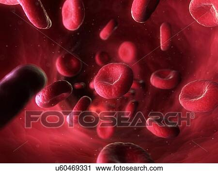 Clip Art - Blood stream, artwork. Fotosearch