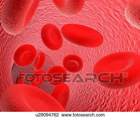 Drawing - Blood stream, artwork. Fotosearch