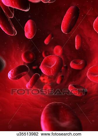 Drawing - Blood stream, artwork. Fotosearch