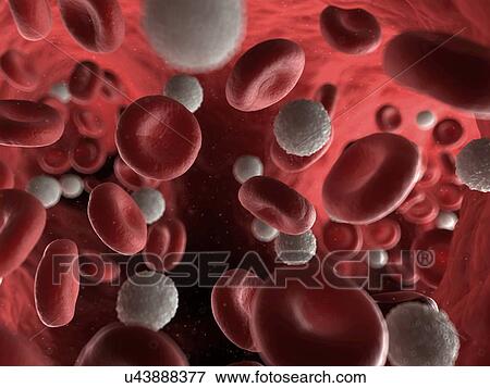 Stock Illustration - Blood stream, artwork. Fotosearch
