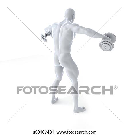 Clip Art - Bodybuilder, artwork. Fotosearch