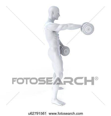 Bodybuilder, artwork View Large Illustration Clip Art - Bodybuilder, artwork. Fotosearch