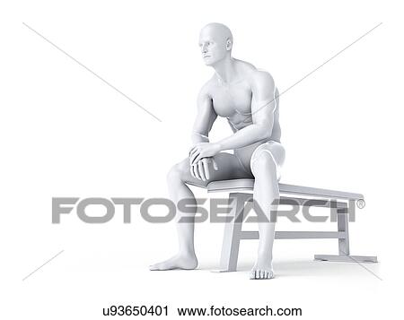 Bodybuilder, artwork View Large Illustration Clip Art - Bodybuilder, artwork. Fotosearch